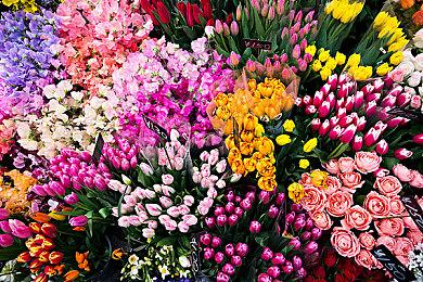 白金工作室《太阳登陆舰》Steam页面上线 不支持中文